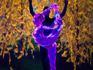 Autumn 2